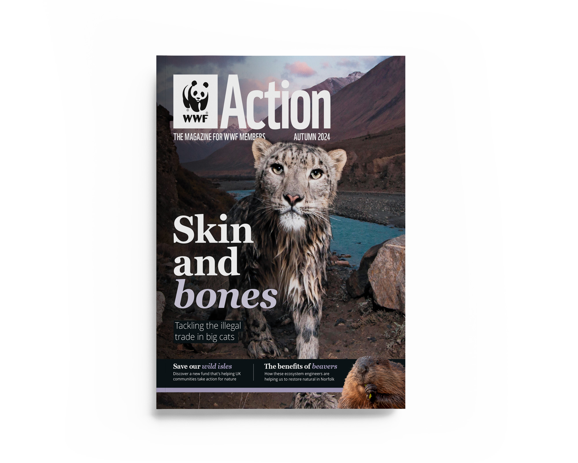 Action magazine cover