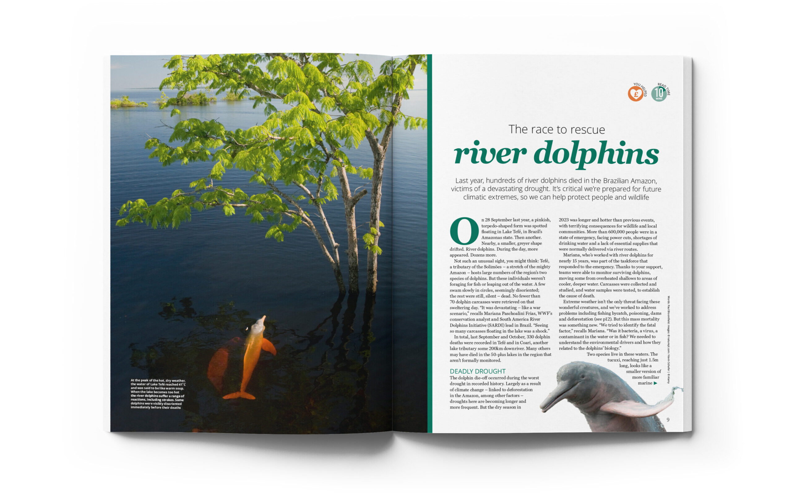 Action magazine River dolphins