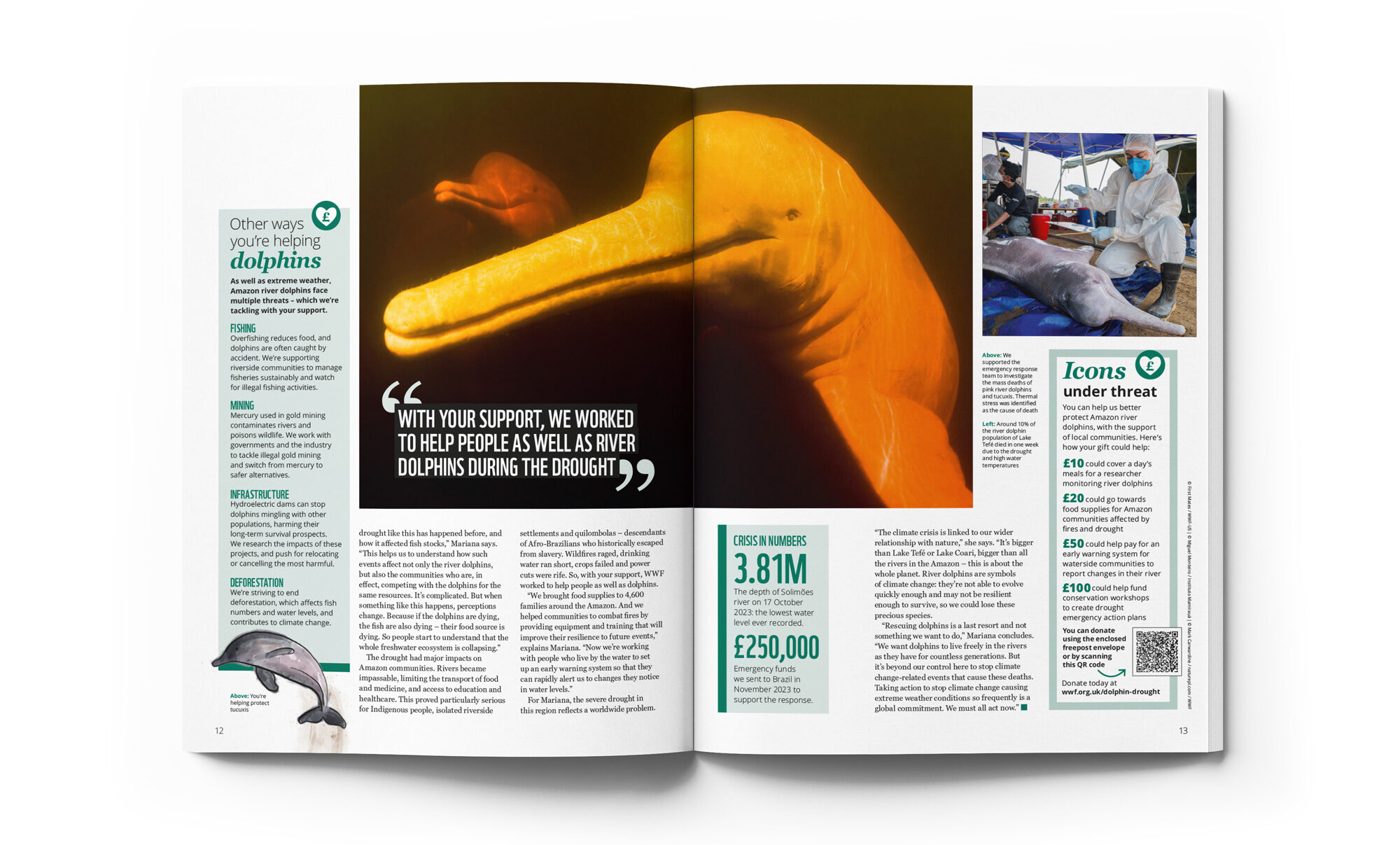 Action magazine River dolphins