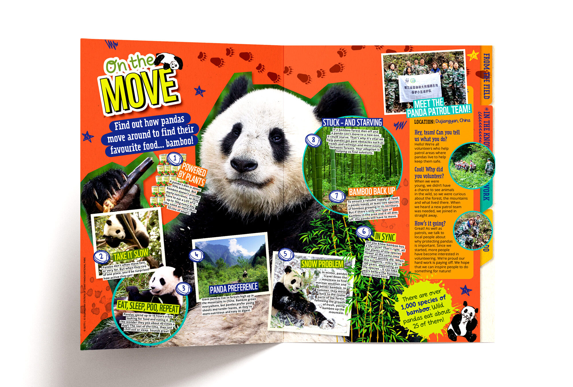 Kids panda feature