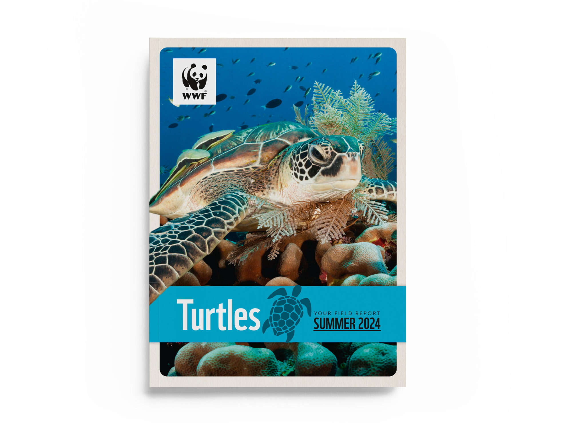 Turtle cover